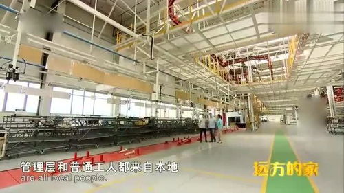 保加利亚中国汽车工厂里的跨文化使者 美女员工如何架起商务沟通桥梁