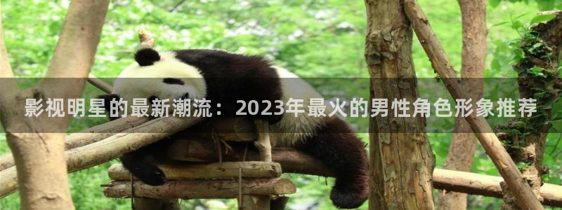 八戒私人伦理影院：影视明星的最新潮流：2023年最火的男性角色形象推荐