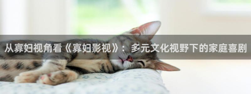 秋霞伦理视频网：从寡妇视角看《寡妇影视》：多元文化视野下的家庭喜剧