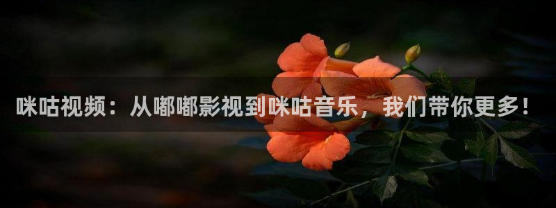 神马伦理影院在线：咪咕视频：从嘟嘟影视到咪咕音乐，我们带你更多！