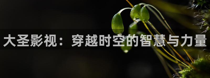 成人在线伦理视频：大圣影视：穿越时空的智慧与力量