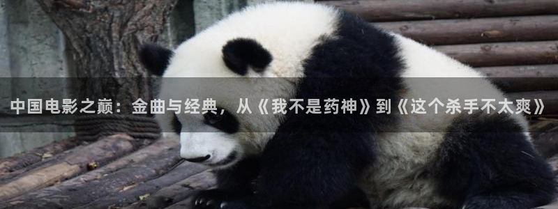 秋霞伦理影片：中国电影之巅：金曲与经典，从《我不是药神》到《这个杀手不太爽》