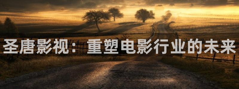 八哥伦理影院：圣唐影视：重塑电影行业的未来