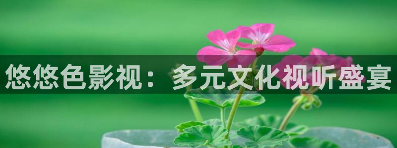 欧美伦理影院：悠悠色影视：多元文化视听盛宴