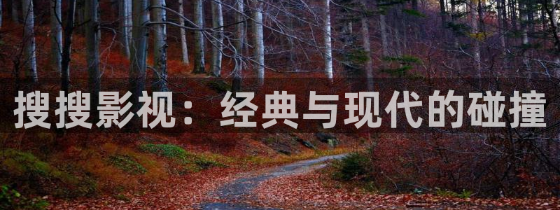 伊人午夜伦理影院：搜搜影视：经典与现代的碰撞