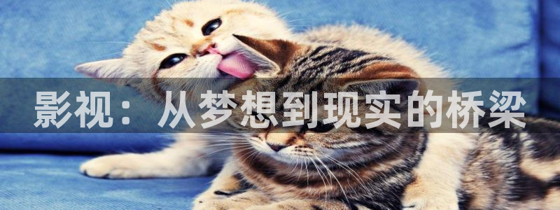 天狼伦理影视：影视：从梦想到现实的桥梁