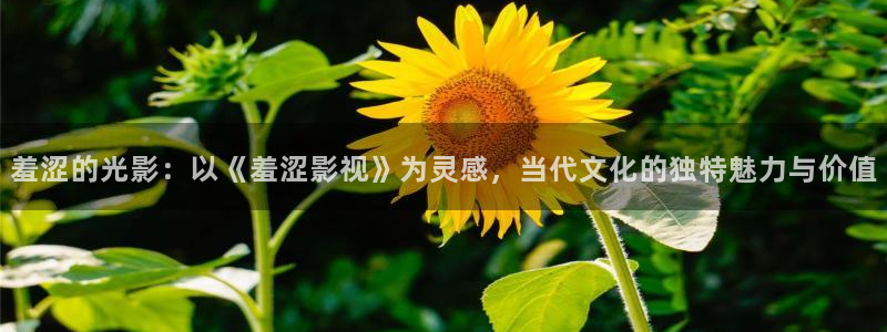 神马在线伦理影院：羞涩的光影：以《羞涩影视》为灵感，当代文化的独特魅力与价值